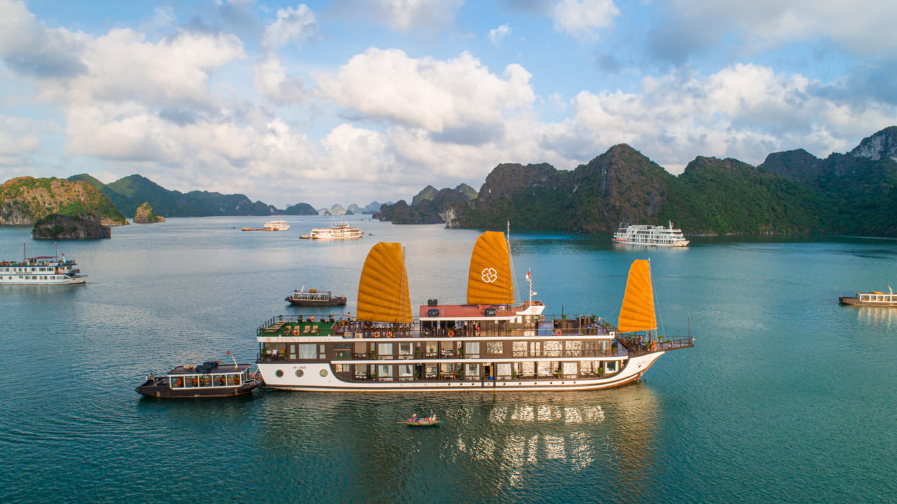 cat ba cruise